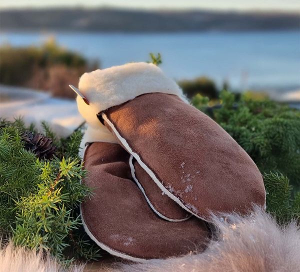 Main Image Woolly mittens, women's