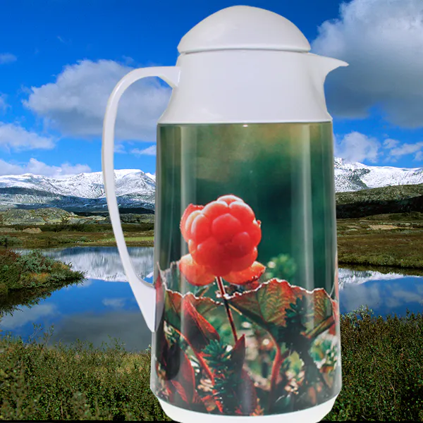 Main Image Kaffekanne Flora Multe