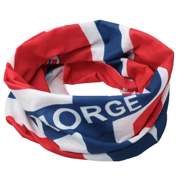 Hovedbilde Hals, Norge og flagg
