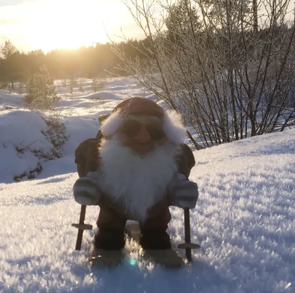 Main Image Ny Form santa skiing with backpack