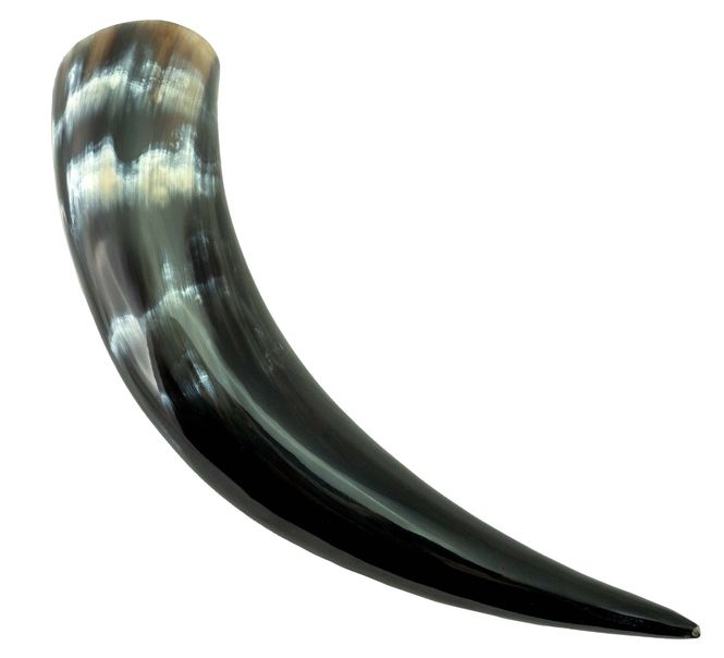 Hovedbilde Vikinghorn