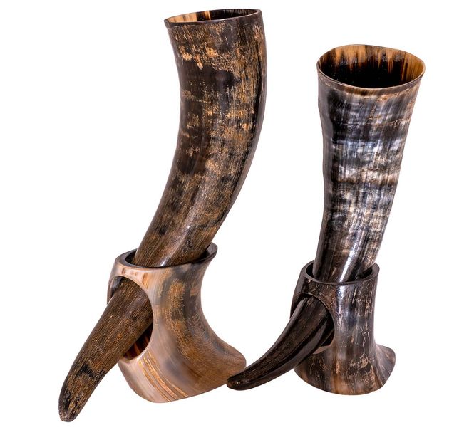 Hovedbilde Vikinghorn med holder